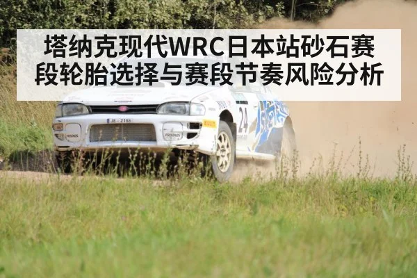 rally car gravel stage tire